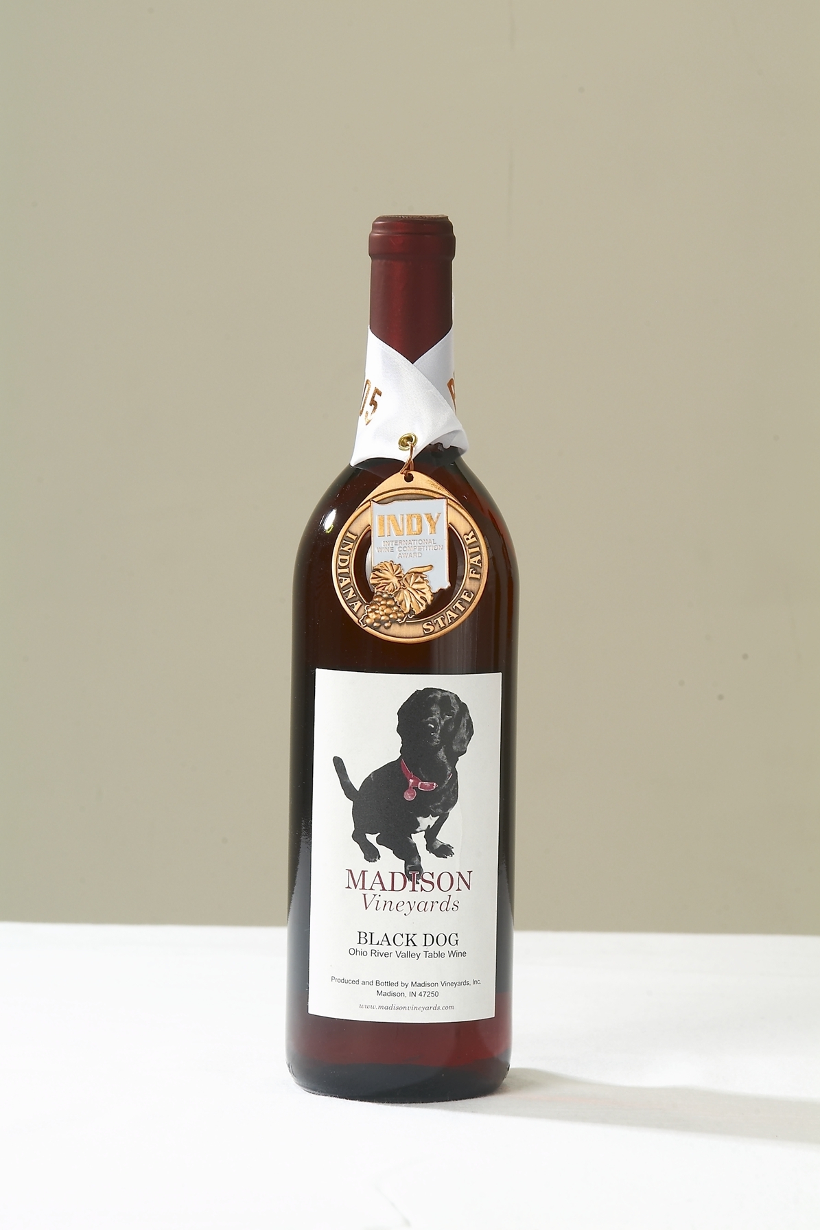 MadVin_BlackDog TCAM TV